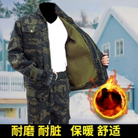 Флисовый комплект, штаны, черный орел