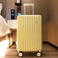 Дейзи желтая