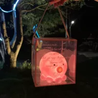 Розовый осьминог ночной свет+подарочная коробка