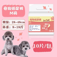 Женская порошковая рисунка M код (окружность талии 28-48 см) 8-18 Catties 10 штук