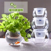 Cây thủy canh chai thủy tinh màu xanh lục bình hoa chậu thủy tinh bóng nước nuôi cá bể chứa - Vase / Bồn hoa & Kệ