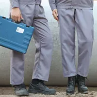 Один серый штаны