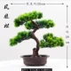 Светло -серый 4 вилки Phoenix Pine Pins