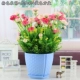 Pink Rice Bud+Eugali+Blue Square Pot