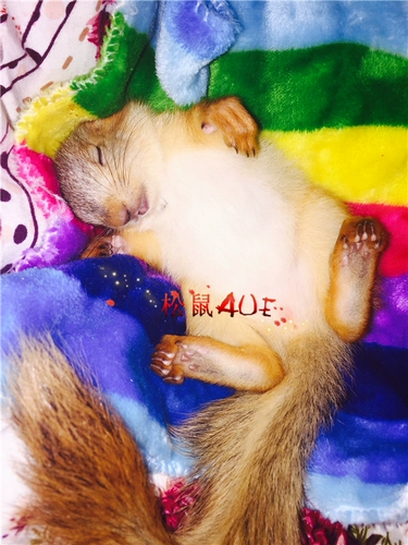 Одеяло, подушка, удерживающая тепло ткань