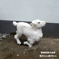 Кожаная версия осанки на коленях ест молоко ягненка