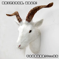 Большая голова овец