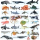 Mô phỏng động vật sinh vật biển mô hình cá voi sát thủ cá mập trắng lớn rùa cá heo báo cá voi cá voi bạch tuộc mực đồ chơi trẻ em nhận thức