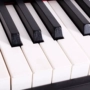 Piano điện Casio PX150 đàn piano điện 88 phím nặng chuyên nghiệp dành cho người lớn mới bắt đầu PX150 - dương cầm piano pc