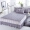 Giường loại giường trải giường đơn bụi che 8 tấm bảo vệ 1 1 5 5 8 1.8 bằng 2x2. M 2.0 giường Zhuo 1.5 tờ - Váy Petti