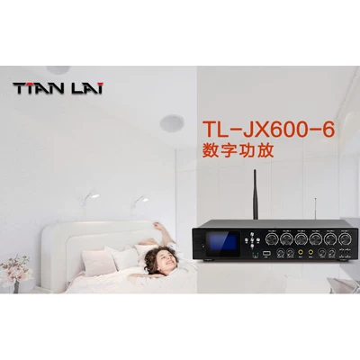 Bluetooth-плейер–посредник Teana TL-160-6 для цифрового воспроизведения фона, контроллер музыки-specker колонка