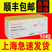 Viên 50mg chó mèo thuốc cảm lạnh chó ho miệng mèo viêm mũi chi nhánh viêm mũi 10 miếng - Cat / Dog Medical Supplies
