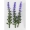 Mô phỏng hoa giả bó hoa sáng tạo cắm hoa với hộp quà cỏ với hoa bạch đàn tiền lá cây cỏ xanh - Hoa nhân tạo / Cây / Trái cây