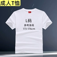 Взрослый T -Frish (L код)