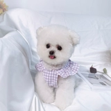 Летняя юбка с бантиком, тонкая летняя одежда