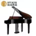 SPYKER Anh Spyker nhập khẩu tam giác nhỏ thép nhà dạy đàn piano điện piano kỹ thuật số thông minh piano 100 - dương cầm 	đàn piano mới	 dương cầm