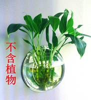 Диаметр 150мм, 150mm, зеркальный эффект