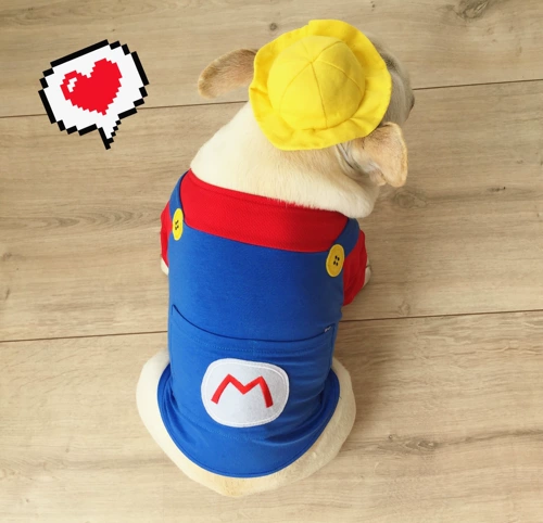 FA DOU Одежда баго одежды для домашней одежды толстая собака одежда для собак супер Мэри Бесплатная доставка бесплатная доставка