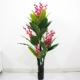 1,7 метра Rich Rose Red Sword Orchid+Pot
