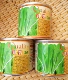 Jinzhi 30 Capbage 100G Cans (для поля)