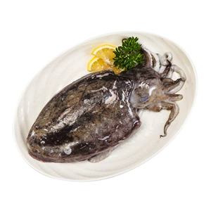 [【开海季】冰鲜墨鱼300-400g]