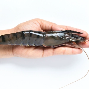 [帝皇鲜 特大泰国活冻黑虎虾 1kg/盒 16-20条]