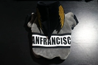 Серебряный бархат