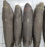 Тигр рисунок жемчужная рыба кожа Материал Дьявол рыбная кожа DIY Ручной кожа