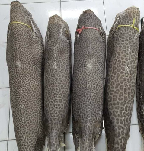 Тигр рисунок жемчужная рыба кожа Материал Дьявол рыбная кожа DIY Ручной кожа