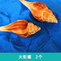 Факел Улиток 2