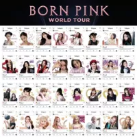 BP Pink Ink Transparent Card Jisoo Lisa Jennie Rose Альбом окружающей коллекции ПВХ карта 8
