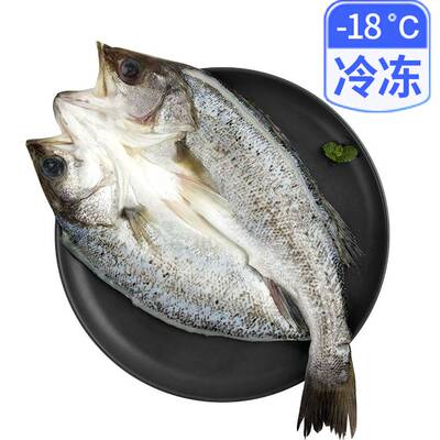 Откройте Sea Bass 350G