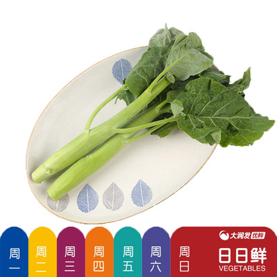 [日日鲜 芥蓝300g/份]