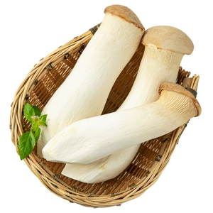 Pleurotus eryngii 250g