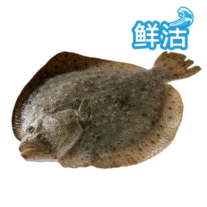 [鲜活多宝鱼500-600g/条]