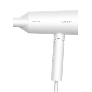 Feike Dricher FH6276
