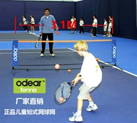 Подлинный корпоративный магазин портативный складывание 3M 6M Move Tennis Grid Short Tennis Center Block