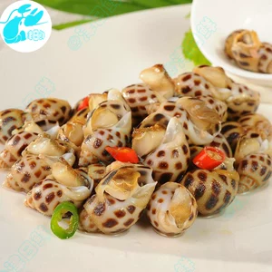 Tianjin Fresh Flower Snails, Dongfeng Snail Snail Rog
