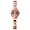 Xu hướng thời trang đồng hồ nữ bằng thép vonfram đồng hồ đeo tay nữ 2019 mới - Vòng đeo tay Clasp vòng tay tỳ hưu