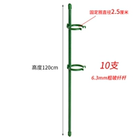 Высотой 120 см [10 ветвей] дают 20 фиксированных пряжек