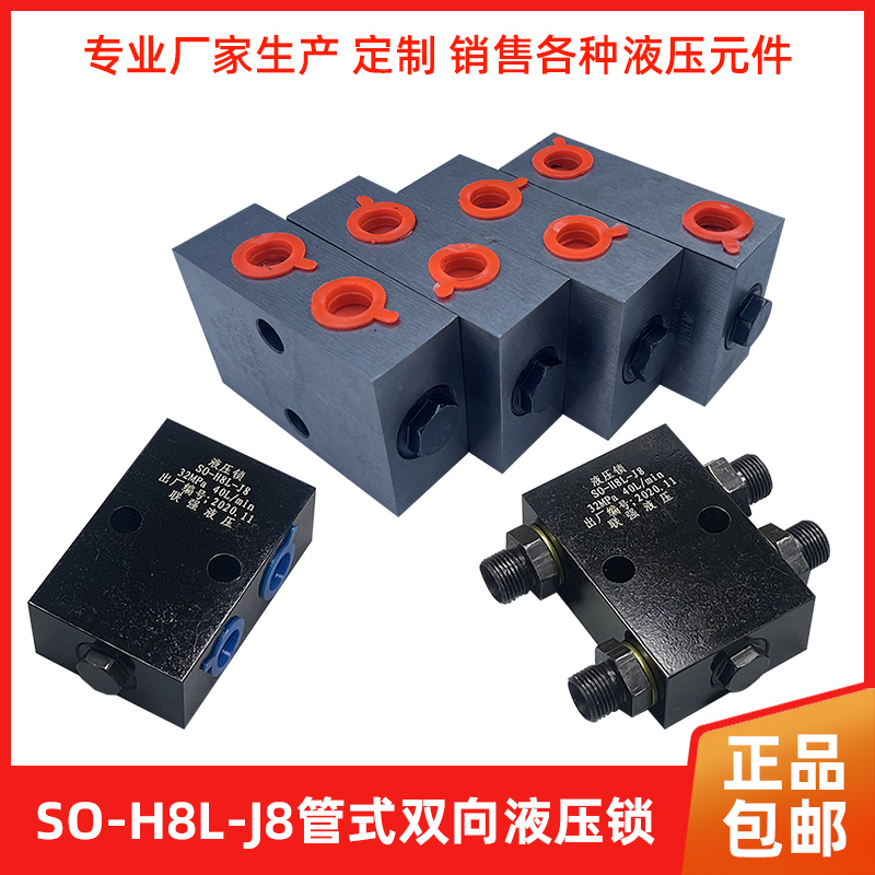 Xi lanh hai chiều khóa thủy lực van kiểm tra áp suất xi lanh van an toàn xi lanh khóa chân cẩu van cân bằng van duy trì áp suất van thủy lực gạt tay các van thủy lực