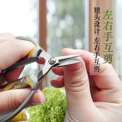 Маникюрные кусачки, ножницы из нержавеющей стали для ногтей, для среднего возраста
