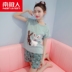 Nam cực nữ mùa hè đồ ngủ cotton ngắn tay quần short Hàn Quốc phiên bản của các cô gái dễ thương bông giản dị dịch vụ nhà phù hợp với Giống cái