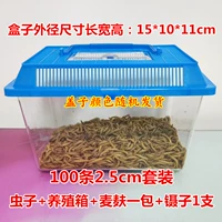 100 2,5 см. Добавление крове