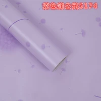 5 -метровый фиолетовый одуванчик 5174