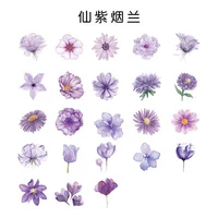 1 коробка из 45 Zhangxian Purple Domb Orchid