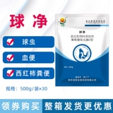 Медицина для птицы с куриной птичником маленькая кишяка с курицей с куриной уткой, утка, птица, птица, кишечная кровь, гимнопус, гимнопус