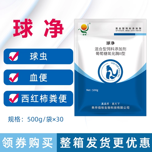 Медицина для птицы с куриной птичником маленькая кишяка с курицей с куриной уткой, утка, птица, птица, кишечная кровь, гимнопус, гимнопус