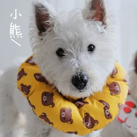 С медвежатами