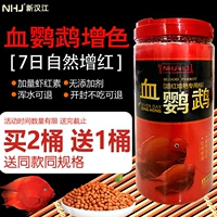 Hanjiang Ultra -Wheit Blood Parrot Fish Преданная рыба